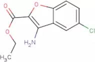 Ethyl 3-amino-5-chloro-1-benzofuran-2-carboxylate