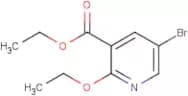 Ethyl 5-bromo-2-ethoxynicotinate