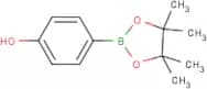 4-Hydroxybenzeneboronic acid, pinacol ester