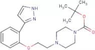 tert-Butyl 4-{2-[2-(1H-pyrazol-3-yl)phenoxy]ethyl}piperazine-1-carboxylate