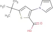 5-tert-Butyl-3-(1H-pyrrol-1-yl)thiophene-2-carboxylic acid