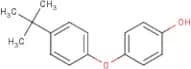 4-(4-tert-Butylphenoxy)phenol