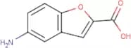 5-Amino-1-benzofuran-2-carboxylic acid