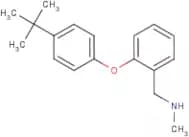 N-[2-(4-tert-Butylphenoxy)benzyl]-N-methylamine