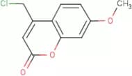 4-(Chloromethyl)-7-methoxy-2H-chromen-2-one