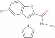 5-Chloro-3-(1H-pyrrol-1-yl)-1-benzofuran-2-carbohydrazide