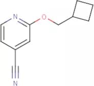 2-(Cyclobutylmethoxy)isonicotinonitrile