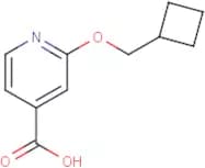 2-(Cyclobutylmethoxy)isonicotinic acid