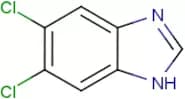 5,6-Dichloro-1H-benzimidazole