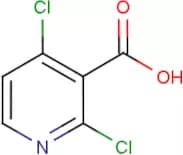 2,4-Dichloronicotinic acid