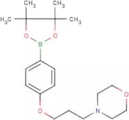 4-(3-Morpholin-4-ylpropoxy)benzeneboronic acid, pinacol ester