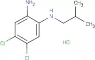 4,5-Dichloro-2-(isobutylamino)aniline hydrochloride