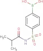4-(N-Isobutanoylsulphamoyl)benzeneboronic acid