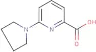 6-(Pyrrolidin-1-yl)pyridine-2-carboxylic acid