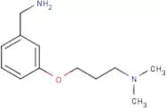 3-[3-(Dimethylamino)propoxy]benzylamine