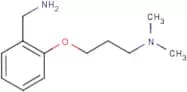 3-[2-(Aminomethyl)phenoxy]-N,N-dimethylpropylamine