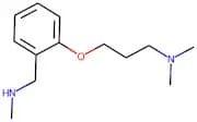 2-[3-(Dimethylamino)propoxy]-N-methylbenzylamine 97%