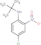 N-tert-Butyl-4-chloro-2-nitroaniline