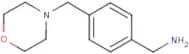 {4-[(Morpholin-4-yl)methyl]phenyl}methylamine