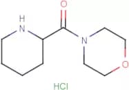 4-(Piperidin-2-ylcarbonyl)morpholine hydrochloride
