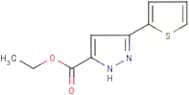 Ethyl 3-(thien-2-yl)-1H-pyrazole-5-carboxylate