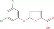 5-(3,5-Dichlorophenoxy)-2-furoic acid