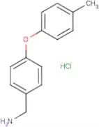 [4-(4-Methylphenoxy)phenyl]methylamine hydrochloride