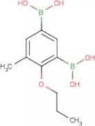 5-Methyl-4-propoxybenzene-1,3-diboronic acid