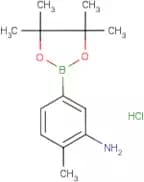 (3-Amino-4-methyl)benzeneboronic acid, pinacol ester hydrochloride