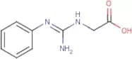 (Phenylcarbamimidamido)acetic acid