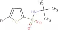 5-Bromo-N-(tert-butyl)thiophene-2-sulphonamide
