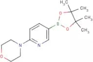 6-(Morpholin-4-yl)pyridine-3-boronic acid, pinacol ester