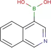 Isoquinoline-4-boronic acid