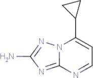 2-Amino-7-cyclopropyl[1,2,4]triazolo[1,5-a]pyrimidine