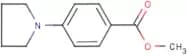 Methyl 4-(pyrrolidin-1-yl)benzoate