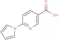 6-(1H-Pyrrol-1-yl)nicotinic acid