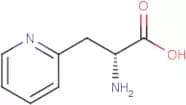 (2R)-2-Amino-3-(pyridin-2-yl)propanoic acid