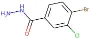 4-Bromo-3-chlorobenzhydrazide