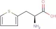 3-Thien-2-yl-L-alanine