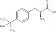 4-tert-Butyl-L-phenylalanine