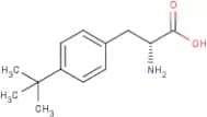 4-tert-Butyl-D-phenylalanine