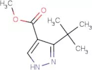 Methyl 3-(tert-butyl)-1H-pyrazole-4-carboxylate