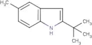 2-(tert-Butyl)-5-methyl-1H-indole