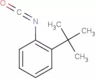 2-tert-Butylphenyl isocyanate