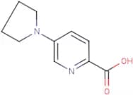 5-(Pyrrolidin-1-yl)pyridine-2-carboxylic acid