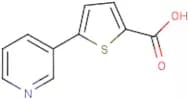5-(Pyridin-3-yl)thiophene-2-carboxylic acid