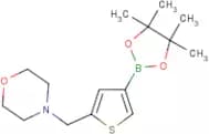 5-[(Morpholin-4-yl)methyl]thiophene-3-boronic acid, pinacol ester