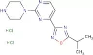 4-(5-Isopropyl-1,2,4-oxadiazol-3-yl)-2-(piperazin-1-yl)pyrimidine dihydrochloride
