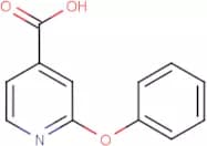 2-Phenoxyisonicotinic acid