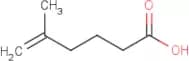 5-Methylhex-5-enoic acid